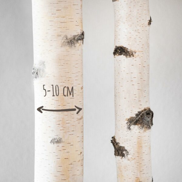 Berkenstam Kapstokhaak tot 3 meter & tot Ø ca. 9 cm - Afbeelding 2