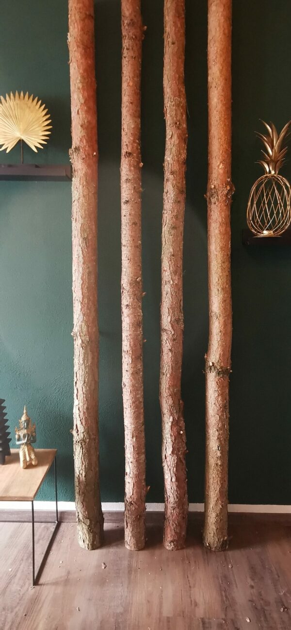 Dennentak 300 cm - Ø 12 cm - Afbeelding 2