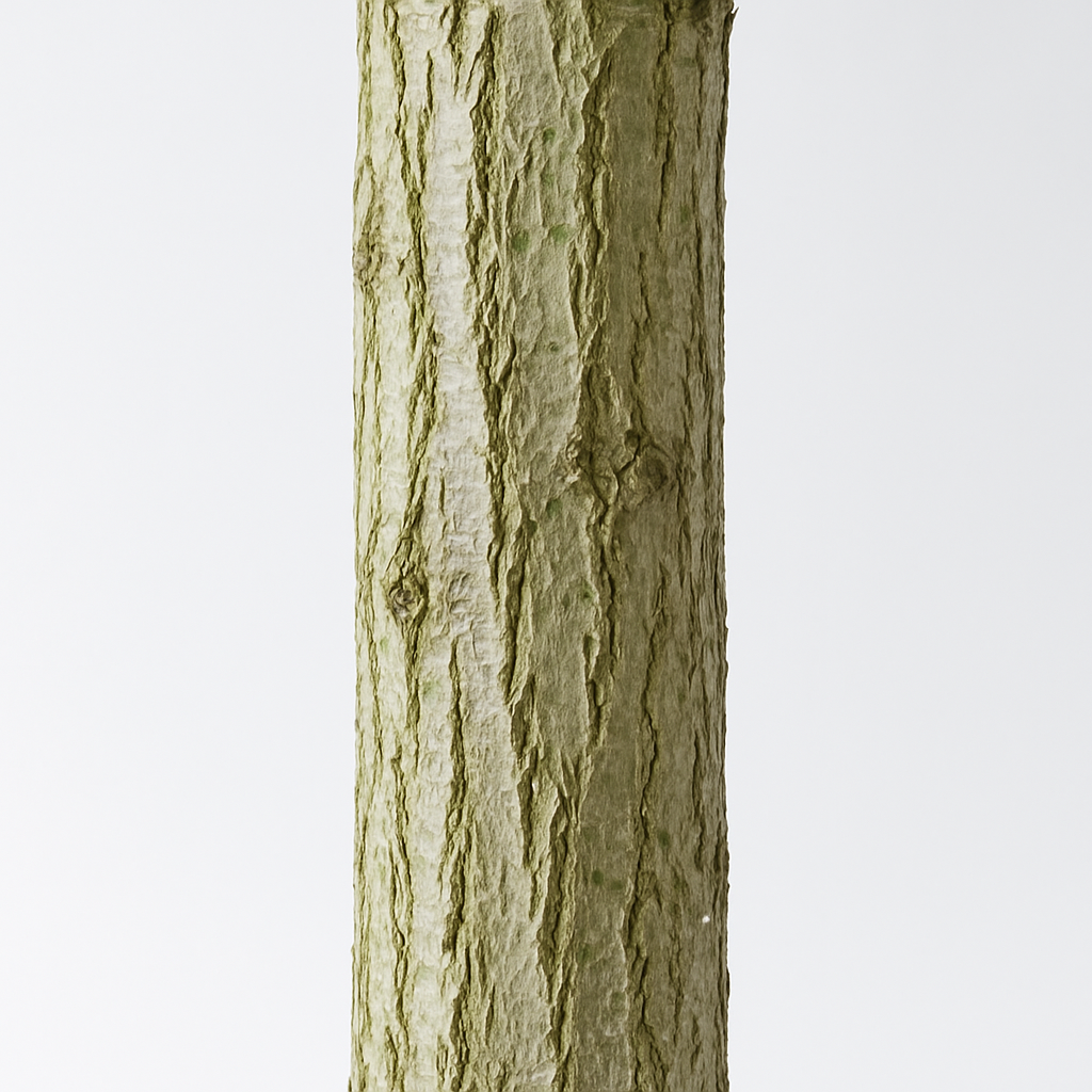 Wilgentak 300 cm